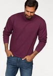 Fruit of the Loom Sweatshirt im Design unifarben Fruit of the Loom Sweatshirt im Design unifarben
