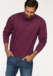 Fruit of the Loom Sweatshirt im Design unifarben
