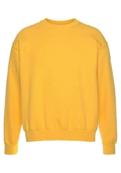 Fruit of the Loom Sweatshirt im Design Gelb