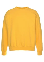 Sweatshirt im unifarbenen Design
