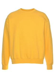 Fruit of the Loom Sweatshirt im Design Gelb
