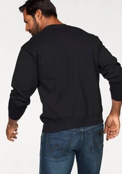 Fruit of the Loom Sweatshirt im Design 
