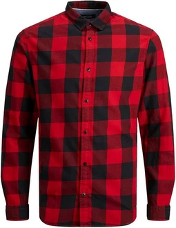 Jack & Jones Plus Hemd JJEGINGHAM