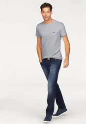 Lacoste T-Shirt mit Rundhalsausschnitt Grau