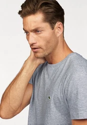 Lacoste T-Shirt mit Rundhalsausschnitt Grau