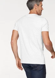 Lacoste V-Shirt Ikonisches Lacoste-Krokodil Weiß/Creme/Grau