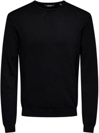 Rundhalspullover WYLER LIFE CREW KNIT