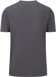FYNCH-HATTON T-Shirt Dunkelgrau/Grau/Dunkelblau