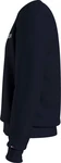 Tommy Hilfiger Sweatshirt TOMMY LOGO SWEATSHIRT mit klassischem Rundhalsausschnitt blau