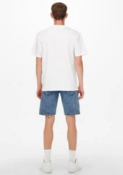 ONLY & SONS T-Shirt Fred Weiß/Grau