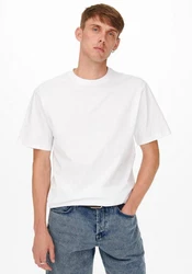 ONLY & SONS T-Shirt Fred Weiß/Grau