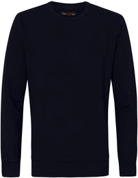 Sweatshirt mit Rundhalsausschnitt