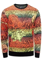 Sweatshirt Sweater im trendigen Tiger-Design