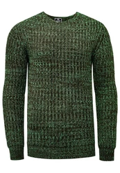 Rusty Neal Strickpullover Dunkelgrün/Grün