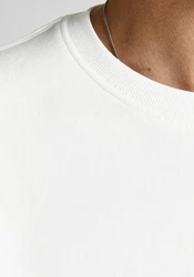 Jack & Jones Sweatshirt JJESTAR BASIC SWEAT CREW NECK NOOS (4012) 