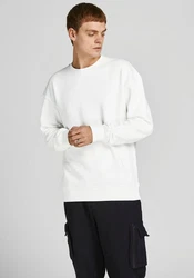 Jack & Jones Sweatshirt JJESTAR BASIC SWEAT CREW NECK NOOS (4012) 
