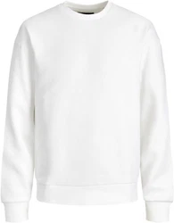 Jack & Jones Sweatshirt JJESTAR BASIC SWEAT CREW NECK NOOS (4012) 