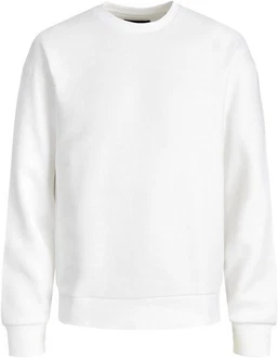 Jack & Jones Sweatshirt JJESTAR BASIC SWEAT CREW NECK NOOS (4012) Jack & Jones Sweatshirt JJESTAR BASIC SWEAT CREW NECK NOOS (4012)