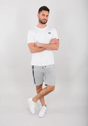 Alpha Industries Sweatshorts Big Letters Short Hellgrau/Grau/Silber