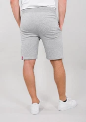 Alpha Industries Sweatshorts Big Letters Short Hellgrau/Grau/Silber