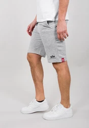 Alpha Industries Sweatshorts Big Letters Short Hellgrau/Grau/Silber
