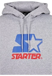 Starter Black Label Hoody Hellgrau/Silber/Blau/Grau