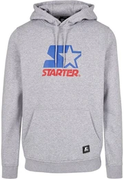 Kapuzensweatshirt Herren Starter Two Color Logo Hoody (1-tlg)