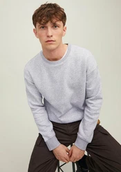 Jack & Jones Sweatshirt JJESTAR BASIC SWEAT CREW NECK NOOS (4012) Grau/Hellgrau