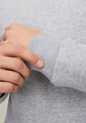 Jack & Jones Sweatshirt JJESTAR BASIC SWEAT CREW NECK NOOS (4012) Grau/Hellgrau