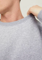 Jack & Jones Sweatshirt JJESTAR BASIC SWEAT CREW NECK NOOS (4012) Grau/Hellgrau