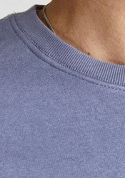 Jack & Jones Sweatshirt JJESTAR BASIC SWEAT CREW NECK NOOS (4012) Blau