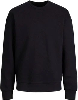 Jack & Jones Sweatshirt JJESTAR BASIC SWEAT CREW NECK NOOS (4012) Jack & Jones Sweatshirt JJESTAR BASIC SWEAT CREW NECK NOOS (4012)