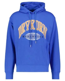 Sweatshirt Herren Hoodie BRADLEY (1-tlg)