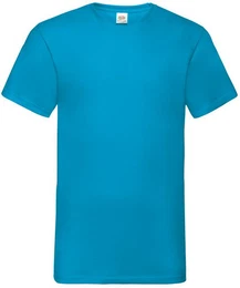 V-Shirt Valueweight V-Neck T