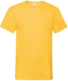 V-Shirt Valueweight V-Neck T