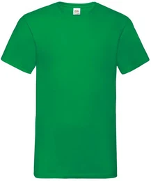 V-Shirt Valueweight V-Neck T
