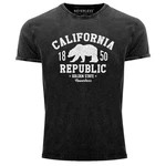 Neverless Print-Shirt Herren Vintage Shirt Printshirt California Dunkelgrau/Schwarz/Grau/Braun