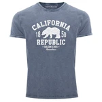 Neverless Print-Shirt Herren Vintage Shirt Printshirt California Hellblau/Blau