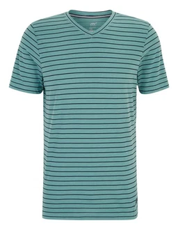 Joy Sportswear T-Shirt JANOSCH Grün/Türkis