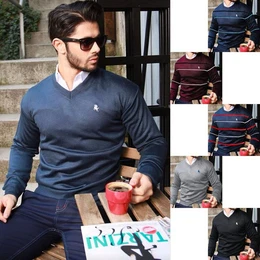 Strickpullover Eleganter Strickpullover mit V-Ausschnitt und Logostickerei V-Ausschnitt, Logostickerei