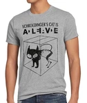 style3 T-Shirt Schroedinger's Katze Silber/Grau
