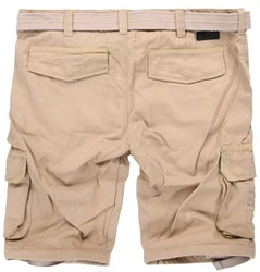 Arctic Seven Shorts 
