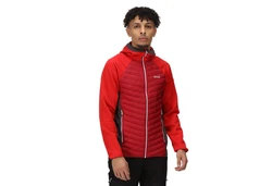 Regatta Funktionsjacke Softshelljacke Hybrid Andreson VII 