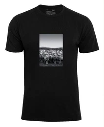 T-Shirt Schafe mit Sonnenbrille