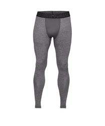 Under Armour Funktionshose CG Leggings Dunkelgrau/Hellgrau/Grau