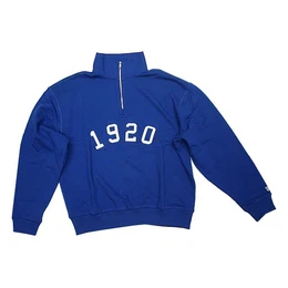 Sweater Branded Turtle (1-tlg)