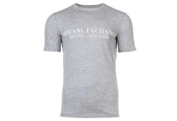 ARMANI EXCHANGE T-Shirt '8NZT72' graumeliert/weiß (8NZT72)