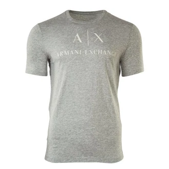 ARMANI EXCHANGE T-Shirt '8NZTCJ' hellgrau/weiß