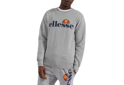 Ellesse Herren Sweatshirt SUCCISO Grau