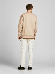 Jack & Jones Sweatshirt JJESTAR BASIC SWEAT CREW NECK NOOS (4012) Beige (4012)